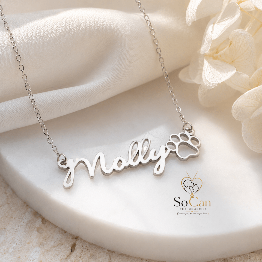 Namenskette mit Pfotenabdruck – 925 Sterling Silber