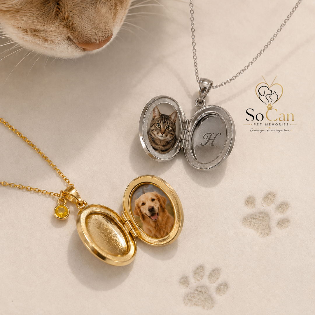 Medaillon Halskette mit Foto aus 925 Sterling Silber – Dein Haustier für immer ganz nah ❤️🐾