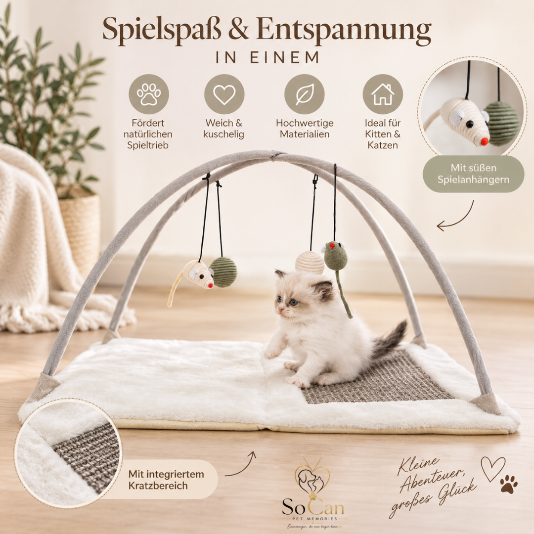 Trixie Junior Kratzmatte mit Spielzeugen